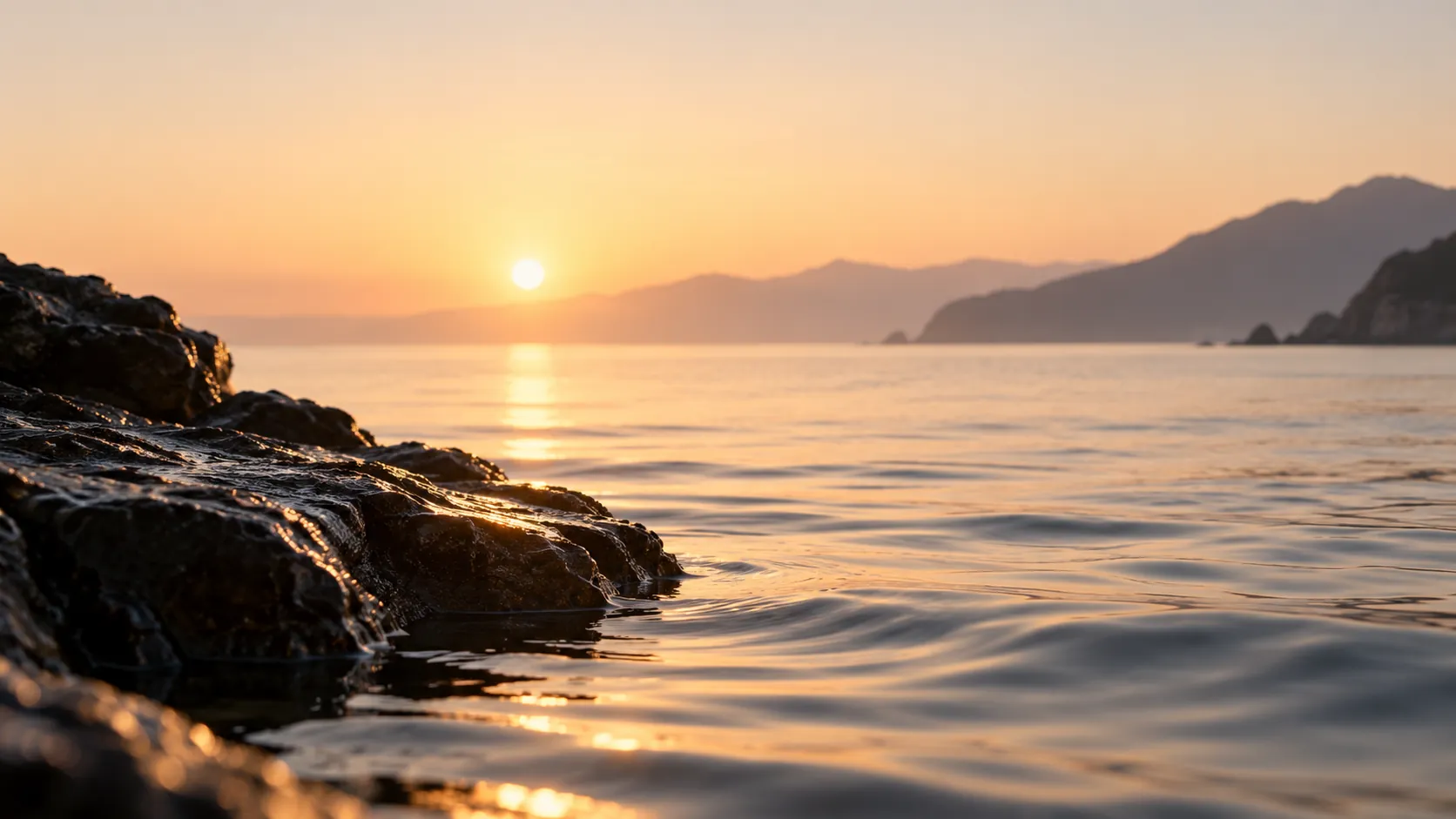 The long view: building lasting organic visibility